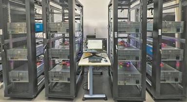 探針計算機：讓數據自己找答案