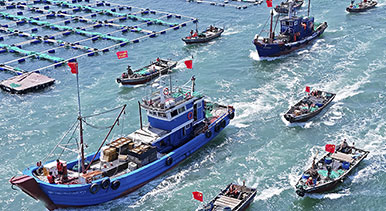 千船競發耕藍海