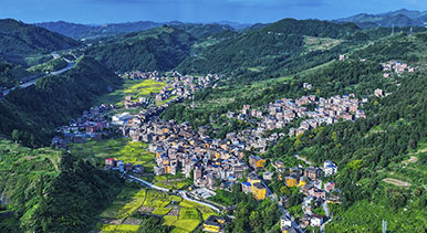 貴州三穗：鄉村好“豐”景